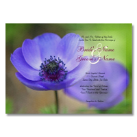 poppies floral wedding invitation